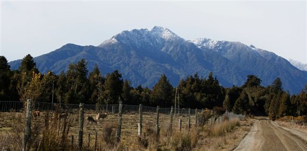 Mount Turiwhate from Old Ch.Ch. Road below Duffers Road. 